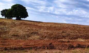 Imagem 4: Vendo sitio 7 alqueires escriturado pronto pra plantio próximo usina
