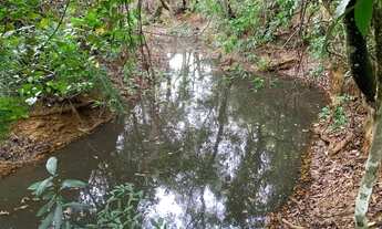 Imagem 7: Sítio 20.000m², casa de 2 quartos, poço artesiano, pomar, a 30min da Serra do Cipó