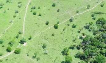 Imagem 5: Vende-se 10 Alq. em Corumbá de Goiás - Próximo a Taguatinga-DF