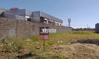 Imagem: Terreno disponível para venda no bairro