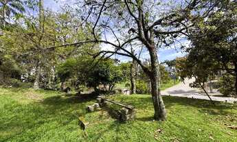 Imagem 7: Venda - Terrenos - Vinhedos - Caxias do Sul - RS