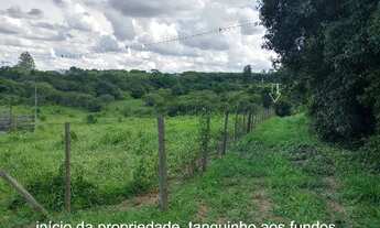 Imagem 3: Sítio Chácara 20.000m2 Aceito Carro e Casa Artur Nogueira Rico em Água Fundos Poquinha