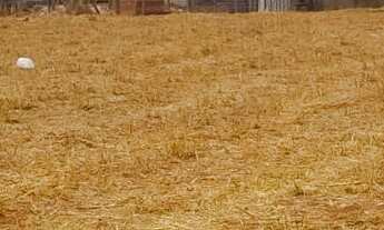 Imagem 4: Chacara no portal serra azul