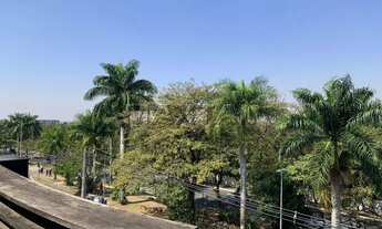 Imagem 3: Prédio para alugar na Avenida Braz Leme, 6 salas de reunião, 18 vagas e 13 banheiros