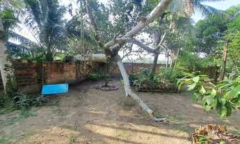 Imagem 5: CASA TIPO SITIO EM AGUAS LINDAS COM 3 QUARTOS E GRANDE AREA FRUTIFERA ACEITO PARCELAMENT