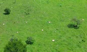 Imagem 7: Vende-se 10 Alq. em Corumbá de Goiás - Próximo a Taguatinga-DF