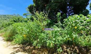 Imagem 2: Terreno à venda, 450 m² por R$ 220.000,00 - Engenho do Mato - Niterói/RJ