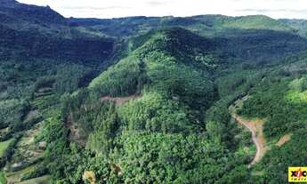 Imagem 2: Sítio / Chácara para Venda em Nova Petrópolis, Arroio Paixão