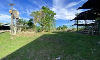 Imagem 2: Fazenda/Sítio/Chácara na AM010 KM 20 para venda tem 250000 m2 em Zona Rural - Rio Preto da