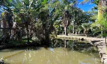 Imagem 7: Terreno à venda, 10667 m² por R$ 950.000,00 - Mar do Norte - Rio das Ostras/RJ