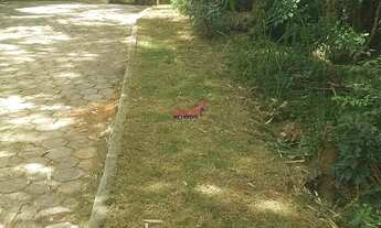 Imagem 2: Maravilhosa chacara Localizada no Paraiso em Viçosa MG