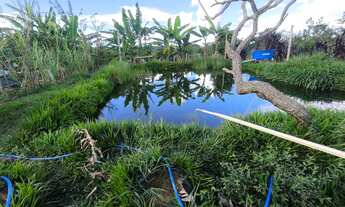 Imagem: Linda chácara escriturada