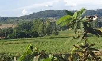 Imagem 6: Chácara com 6 alqueres, rica em água no muninicipio de piracanjuba