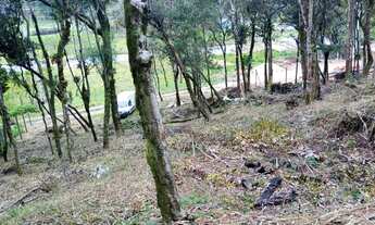 Imagem 6: Venda de chacara