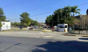 Imagem 5: Terreno à venda, 300 m² por R$ 1.280.001,00 - Jardim São Caetano - São Caetano do Sul/SP