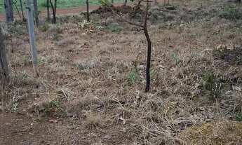Imagem 7: Vendo tereno de chácara na ponte alta próximo ao clube dos vigilantes