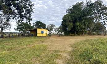 Imagem 7: Chapada dos Guimarães