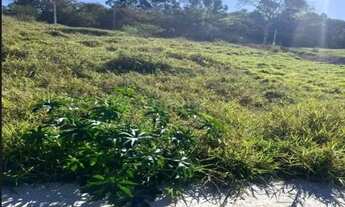 Imagem 6: TERRENO - LOTEAMENTO VALE DAS FLORES - SP