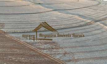 Imagem 4: Sítio com 17 alqueires terra vermelha em Quadra/SP