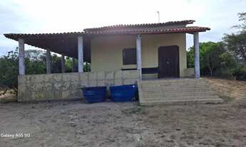 Imagem 5: Excelente sítio de 5t,casa grande em Tiquaruçúa