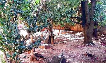 Imagem 3: Casa em Rua Professora Guida Viana - Felipe Cláudio de Sales - Pedro Leopoldo/MG