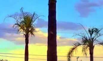 Imagem 2: Cobertura com 3 dormitórios, vista mar à venda no Campeche - Florianópolis - SC