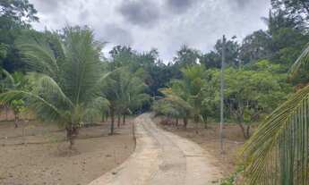 Imagem 4: Sítio à venda , 7710m2, Casa Sede 4 qtos. Vila Esperança São Luís MA