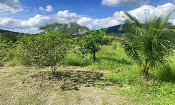 Imagem 6: Excelente sítio de 3 tarefas com casa de 4/4 e arvores frutíferas diversas próxima a BA