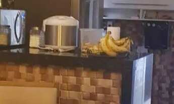 Imagem 5: Casa para venda em VILA MARIA LUIZA de 248.00m² com 2 Quartos e 1 Suite