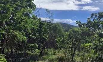 Imagem 6: Terrenos de 1.000m² a 19 km de Pirenópolis com oferta para os 10 primeiros