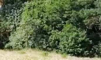 Imagem 4: Terreno a venda Cabangu..