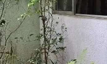 Imagem 4: Sobrado Jardim Avelino!