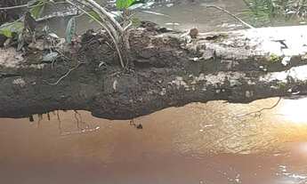 Imagem 4: Sítio de 18 hectares (7,5 alqueires) na região da cidade de Comodoro MT