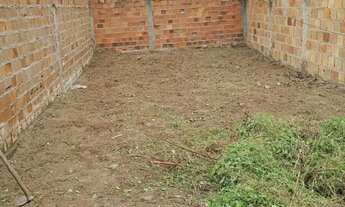 Imagem: Vendo treino no papagaio