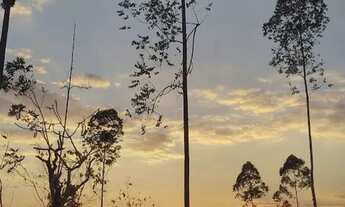 Imagem 5: Chacara em alexânia