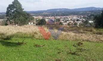 Imagem 2: Terreno à Venda com Mina dÁgua e Potencial de Construção, Oportunidade Única