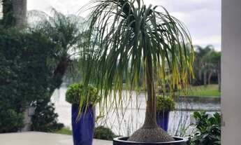 Imagem 7: Casa em Condomínio em Atlântida Sul