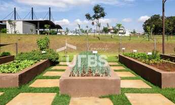 Imagem 10: Lote no Jardins França