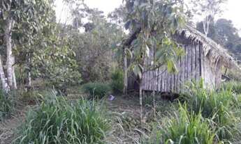 Imagem: Area rural 200 hectares