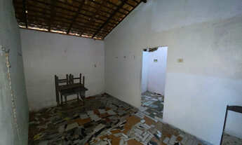 Imagem 6: Casa na ilha de algodoal