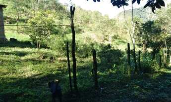 Imagem 3: Terreno de frente para cachoeira em Taquari - Paraty - RJ