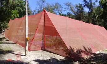 Imagem 7: Sítio 24.200 m² Hidroponia e Cultivo com 2 dormitórios à venda, 24200 m² por R$ 1.500.000