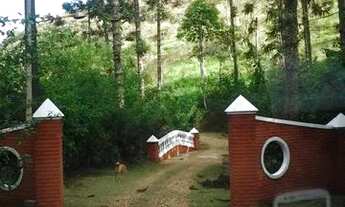 Imagem 3: Fazenda com 356,8945ha em São Francisco Xavier - SP