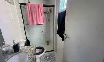 Imagem 5: Arboris Jabotiana