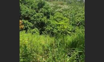 Imagem 2: Sítio Chácara com venda por R$60.000