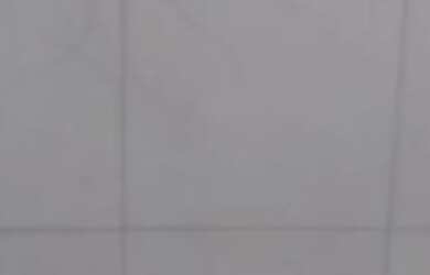 Imagem 4: Alugando imovel Casa com 2 dormitórios