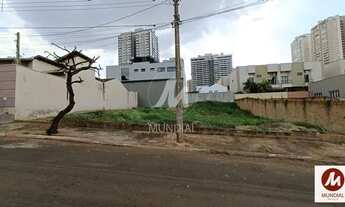 Imagem 2: Terreno (terreno normal