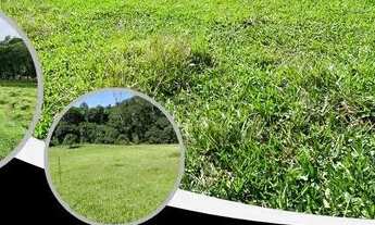 Imagem: LL- Vendo terreno de 600m² com documento