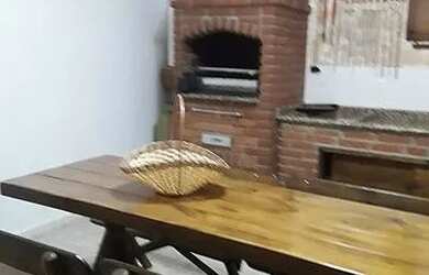 Imagem 6: Cód.: 8080 - Sobrado, 03 quartos sendo 01 suíte, 03 vagas, Vila Aquilino, Santo André