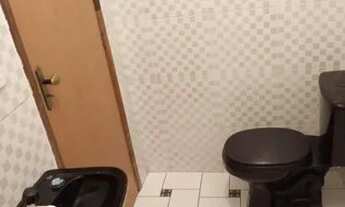 Imagem 7: Casa 3 quartos em Feu Rosa